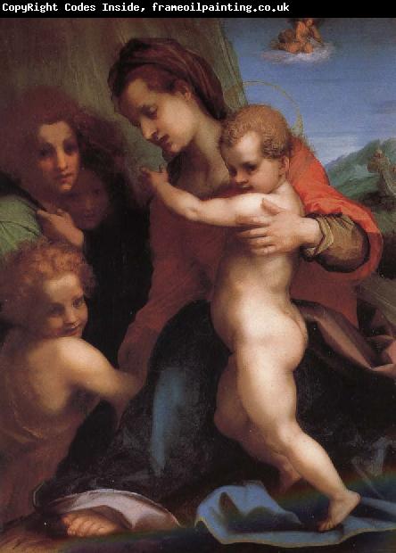 Andrea del Sarto The Virgin and Child with St. John childhood, as well as two angels